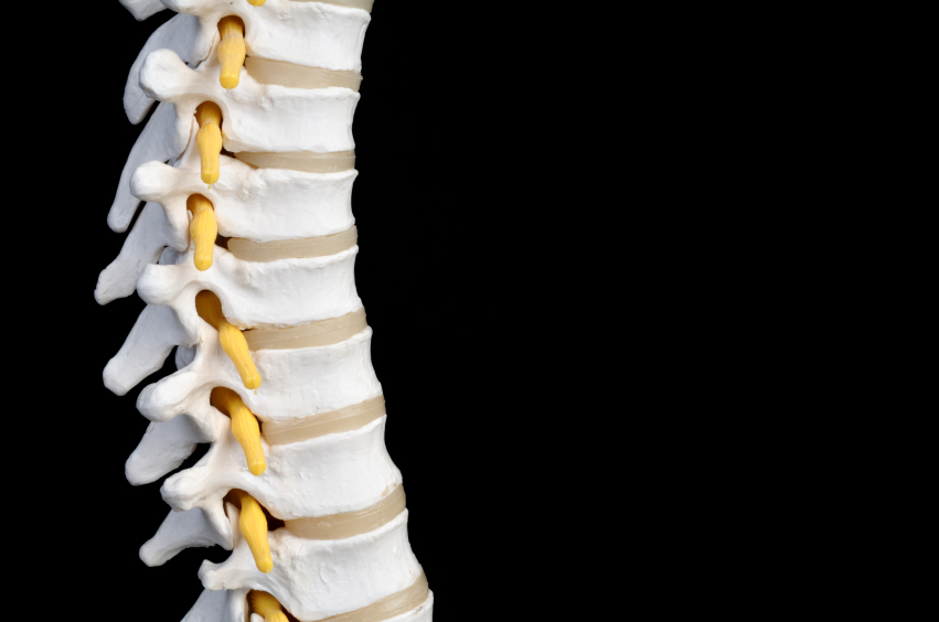 Chiropractic Care & Network Spinal Analysis