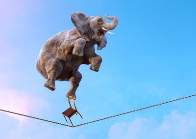 Funny picture of an elephant using one hind leg to balance on a chair that is balancing on 1 leg on a high wire